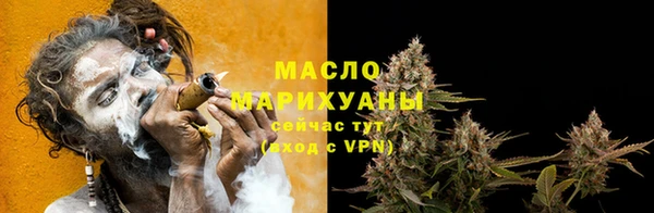 твердый Бородино
