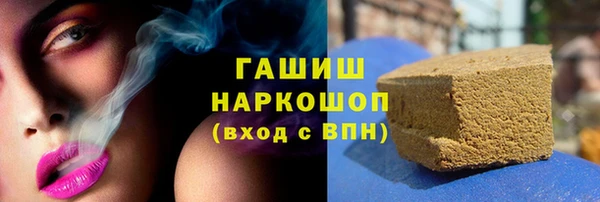 твердый Бородино