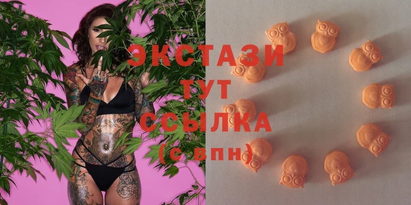 твердый Бородино