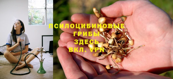 твердый Бородино
